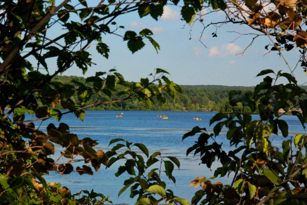 Kayaker's on water in August